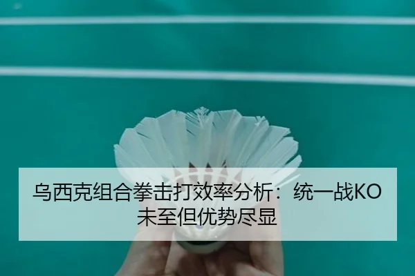 乌西克组合拳击打效率分析：统一战KO未至但优势尽显